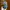 minion tim bob usj universal studio japan boneka tas photo 4
