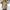 Vision seoul anorak jacket photo 10