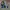 POB JeongMi,BPxOreo,Ps Enh,NWNJS Photo