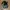 Liebherr - Realtree Hat photo 7