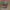 Whitetail Unlimited - Realtree Hat photo 3
