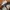 Whitetail Unlimited - Realtree Hat photo 6
