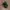 Whitetail Unlimited - Realtree Hat photo 1