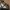 Whitetail Unlimited - Realtree Hat photo 5