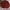 Corduroy Jacket Zipper Single Pocket by Reaction photo 2