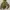 Hoodie Uniqlo Olive Green Two Poket photo 2