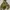 Hoodie Uniqlo Olive Green Two Poket