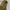Hoodie Uniqlo Olive Green Two Poket photo 3