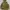 Hoodie Uniqlo Olive Green Two Poket photo 1