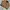 Carhartt Detroit Jacket Wj097cml