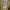 Carhartt detroit jacket wj097cml photo 6
