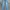 X2 KOREA SELVEDGE DENIM JEANS WOMEN