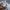 Lee Streetwear Casual Hoody Pria gray blue photo 4