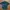 Casual Polo shirt Pria green photo 1