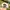 Men's Ahead White Arnold Palmer Invitational Golf Hat photo 4