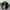 Adidas Sportswear Windbreaker Pria black photo 2