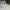 Jacquemus le chiquito white photo 1