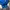 Sportswear Windbreaker Pria blue photo 5