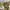 AJOBYAJO Streetwear Y2K Casual pants Pria tan photo 3
