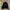 Dickies Streetwear Denim jacket Pria black photo 1