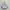 Nike Air jordan low  photo 2