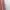 Uniqlo Minimalist Casual Cardigan Wanita pink photo 5