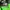 The North Face Sportswear Casual Windbreaker Wanita green photo 7
