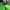 The North Face Sportswear Casual Windbreaker Wanita green photo 6