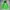 The North Face Sportswear Casual Windbreaker Wanita Green