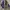 Phenix Avant Garde Vintage Windbreaker Pria purple photo 7