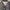 Phenix Avant Garde Vintage Windbreaker Pria purple photo 3