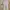 Thanksinsomnia Streetwear Grunge T-shirt Pria multicolor green pink blue photo 4