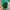 Gucci Luxury Avant Garde Pria green photo 5