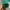 Gucci Luxury Avant Garde Pria green photo 6