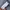Jacket coat wool goose down kids super mewah daks london photo 5