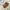Jacket winter coat faux fur suede anak daily bebe super  photo 2