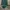 Hermes Luxury Avant Garde Pria green photo 2
