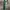 Hermes Luxury Avant Garde Pria green photo 1