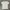 New Balance Sportswear T-shirt Pria White
