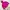 Jacket flaace the north face magenta super cakep photo 2