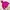 Jacket Flaace The North Face Magenta Super Cakep