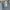 Dickies Relaxed fit Carpenter jeans photo 6