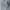 Dickies Relaxed fit Carpenter jeans photo 4
