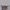 Good Material - Dolly Alderton photo 4