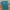 Avirex Casual T-shirt Pria blue photo 1