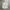 Bratop Xexymix photo 1