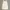 Casual Midi Dress Sleevesless White by Giordano Ladies photo 4