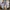 Nudie thinfind  photo 2