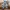 Nudie thinfind  photo 1