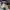 Nudie thinfind  photo 8